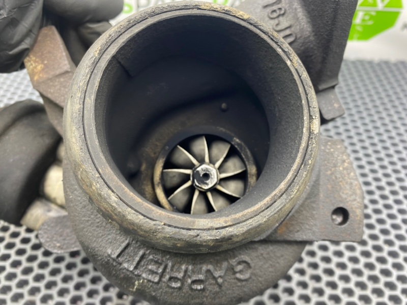 Турбина, 12300 рублей, Калининград