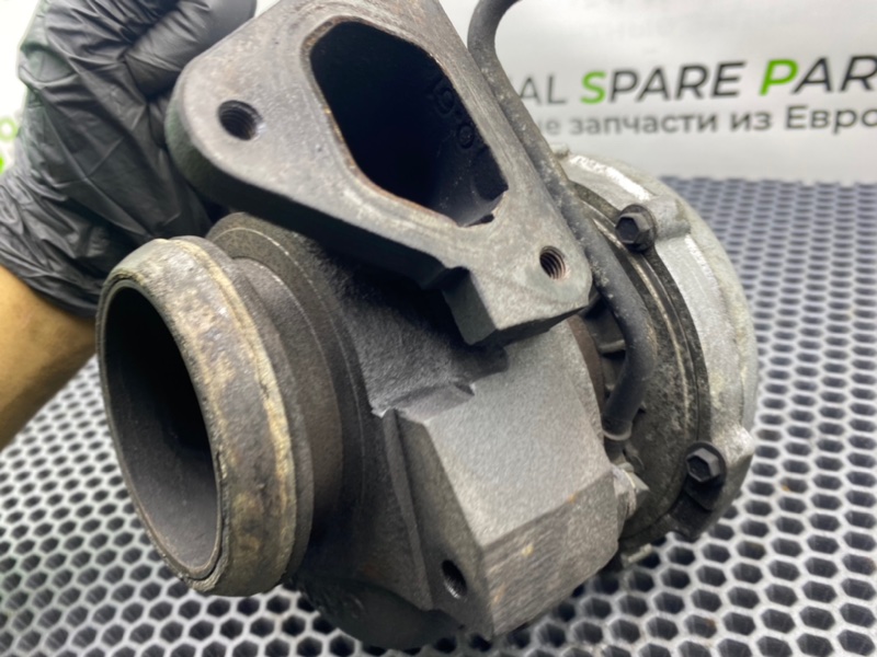 Турбина, 12300 рублей, Калининград