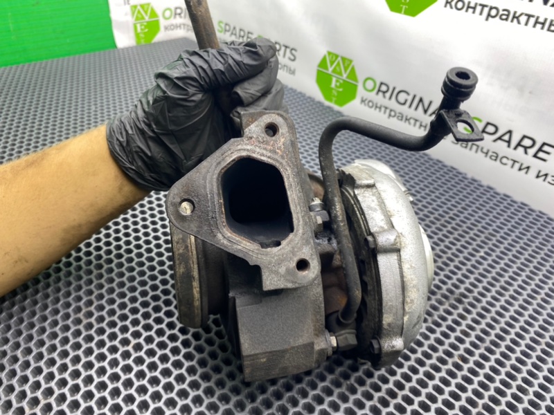 Турбина, 12300 рублей, Калининград