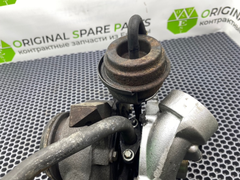 Турбина, 12300 рублей, Калининград