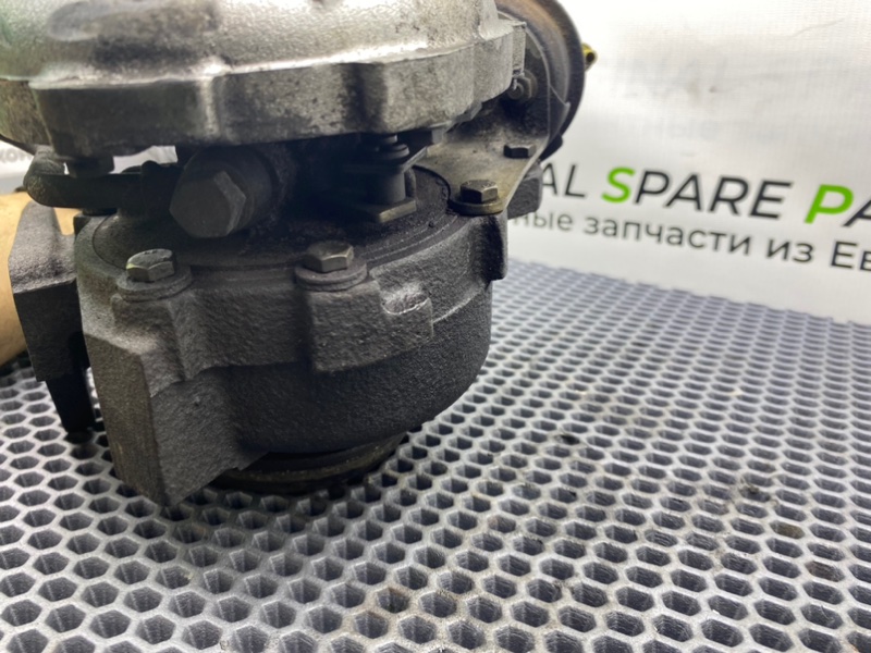 Турбина, 12300 рублей, Калининград