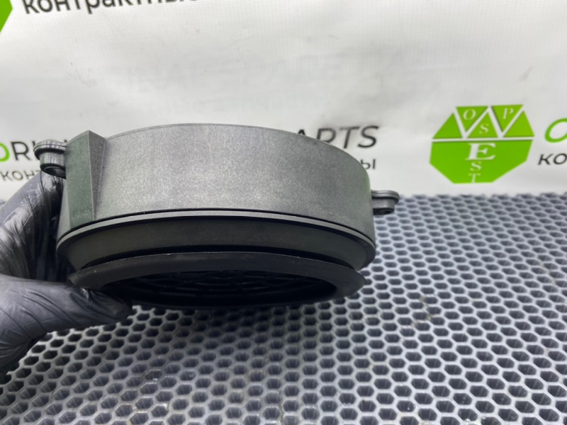 Динамик, 1000 рублей, Калининград