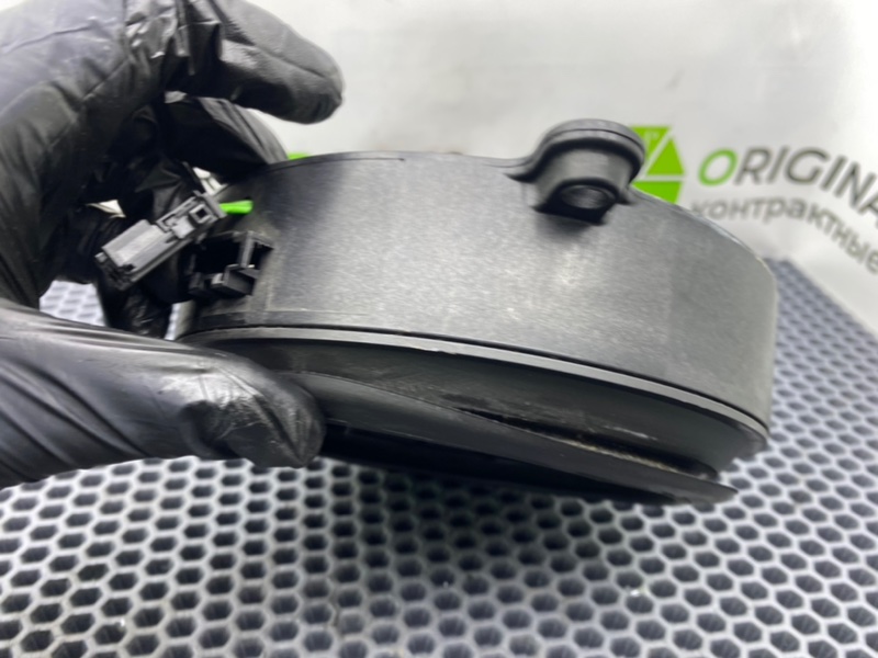 Динамик, 1000 рублей, Калининград