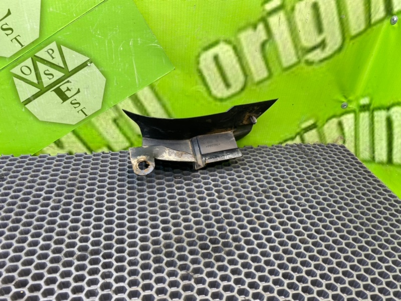 Брызговик, 1000 рублей, Калининград