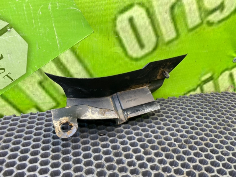 Брызговик, 1000 рублей, Калининград