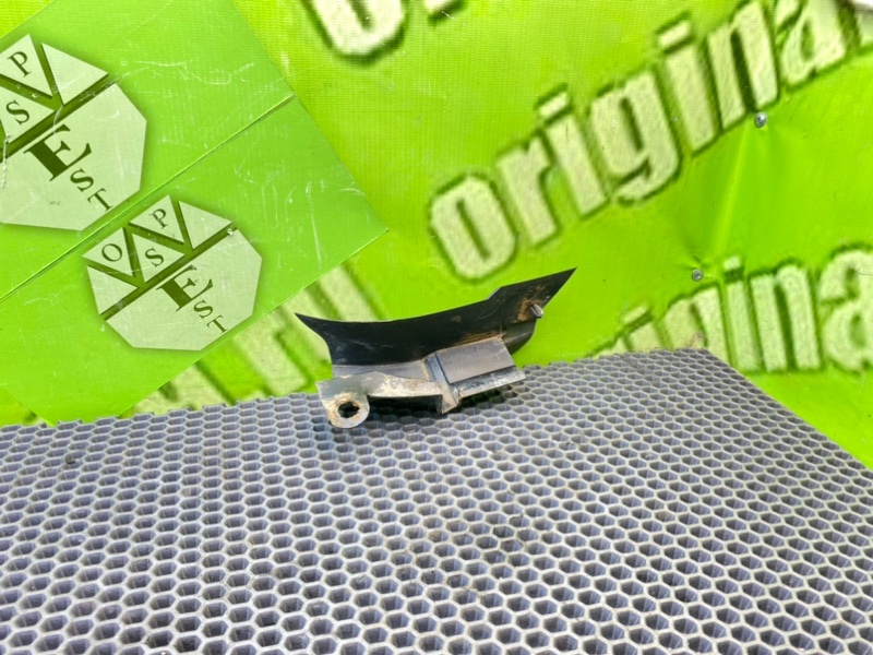 Брызговик, 1000 рублей, Калининград