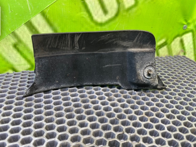 Брызговик, 1000 рублей, Калининград