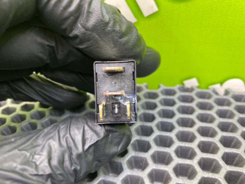 Реле, 500 рублей, Калининград