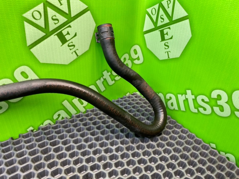 Трубка рхх, 1000 рублей, Калининград