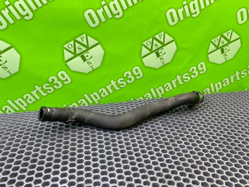 Трубка Гур, 1000 рублей, Калининград