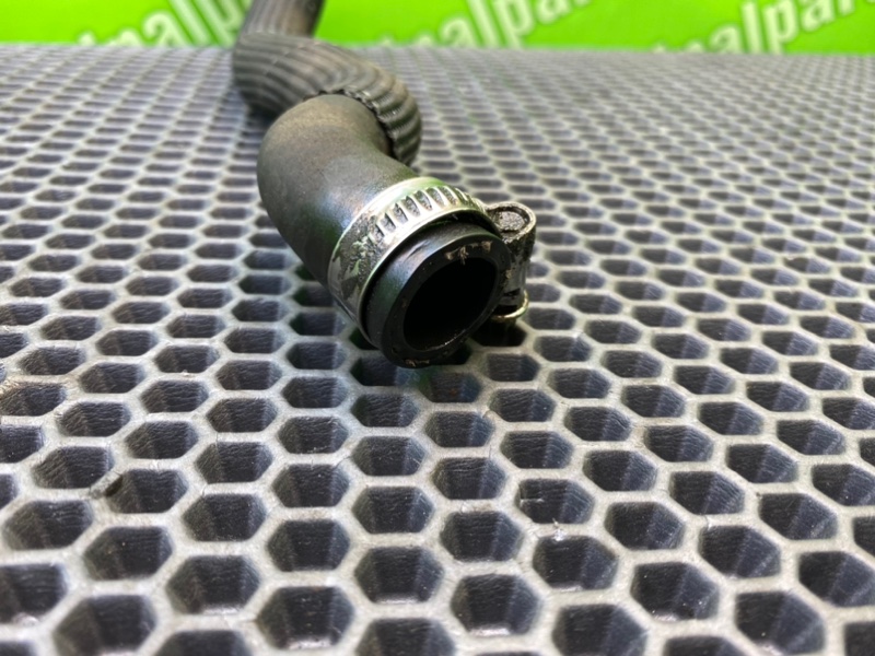 Трубка Гур, 1000 рублей, Калининград