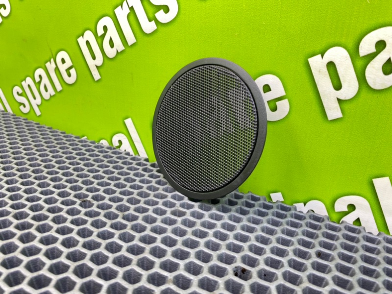 Сетки динамиков, 1000 рублей, Калининград