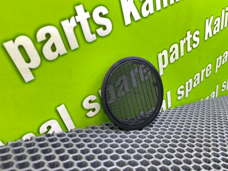 Сетки динамиков, 1000 рублей, Калининград