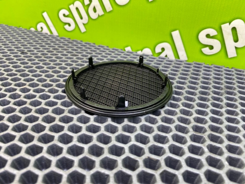 Сетки динамиков, 1000 рублей, Калининград