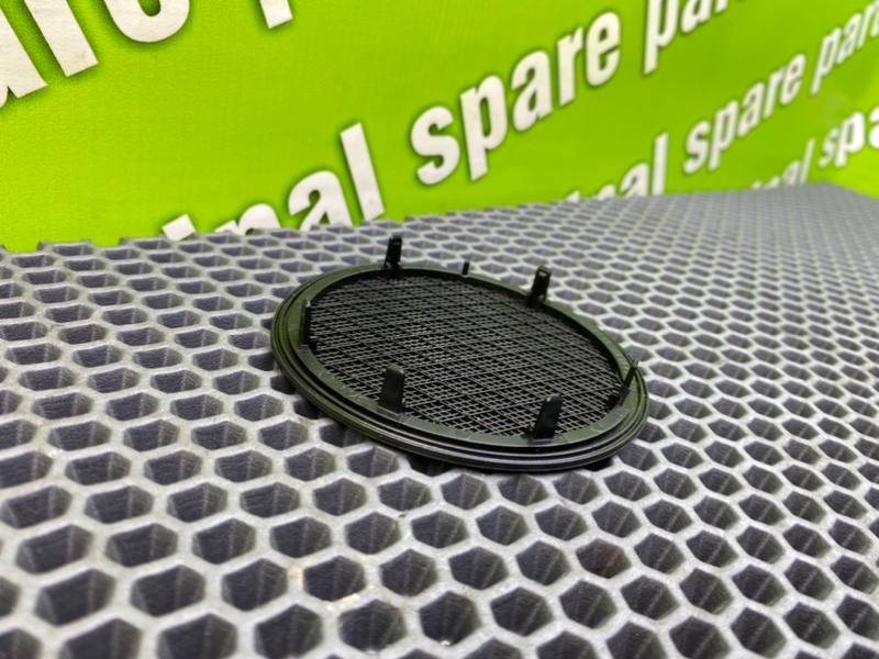 Сетки динамиков, 1000 рублей, Калининград