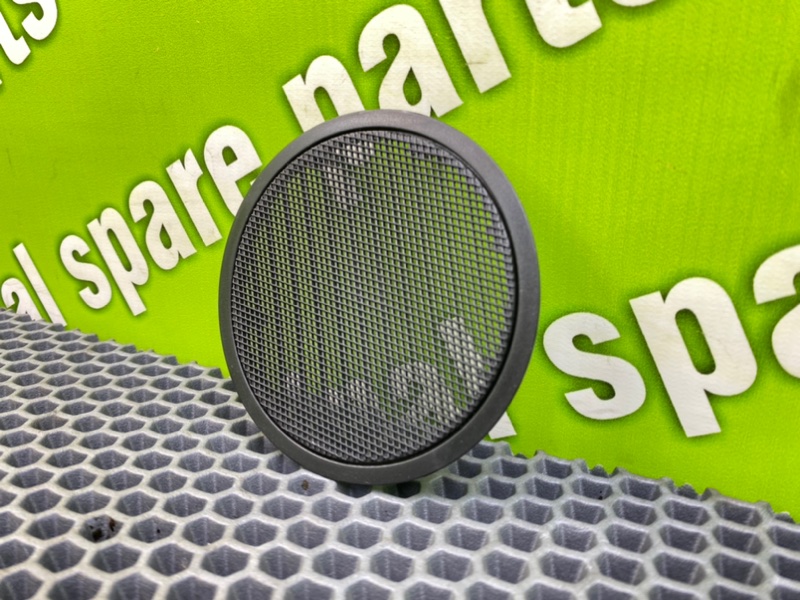 Сетки динамиков, 1000 рублей, Калининград