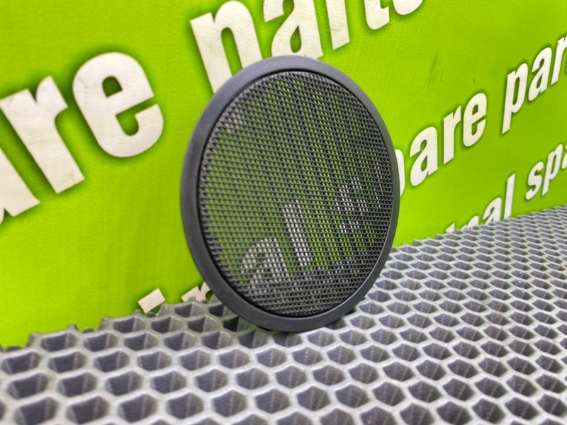 Сетки динамиков, 1000 рублей, Калининград