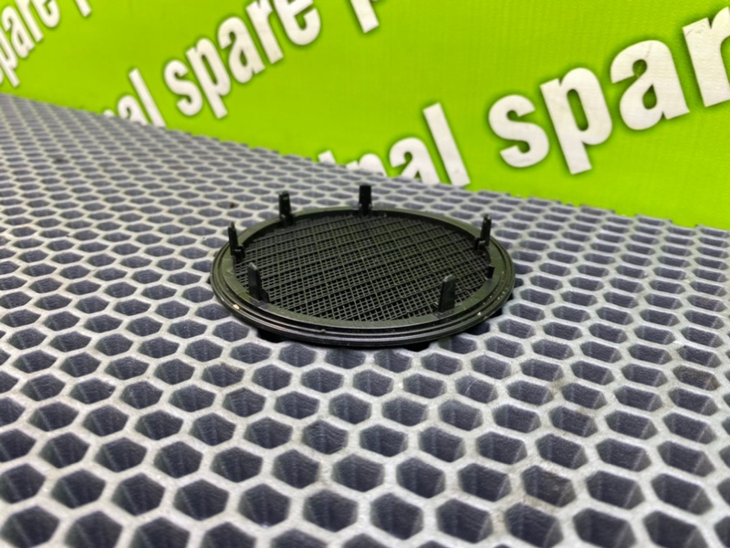 Сетки динамиков, 1000 рублей, Калининград