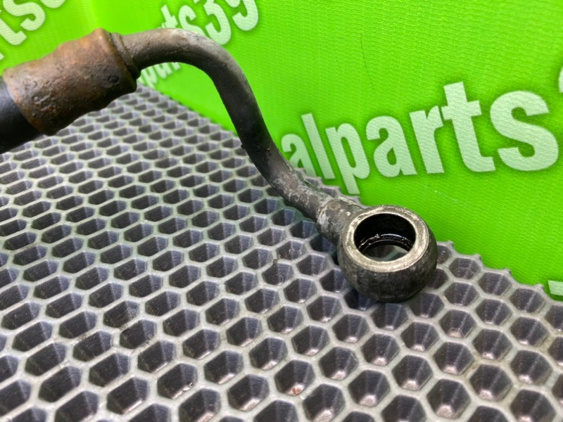 Трубка Гур, 2500 рублей, Калининград