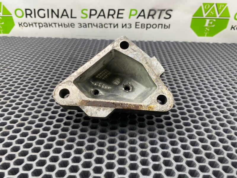 Лапа опоры, 1000 рублей, Калининград