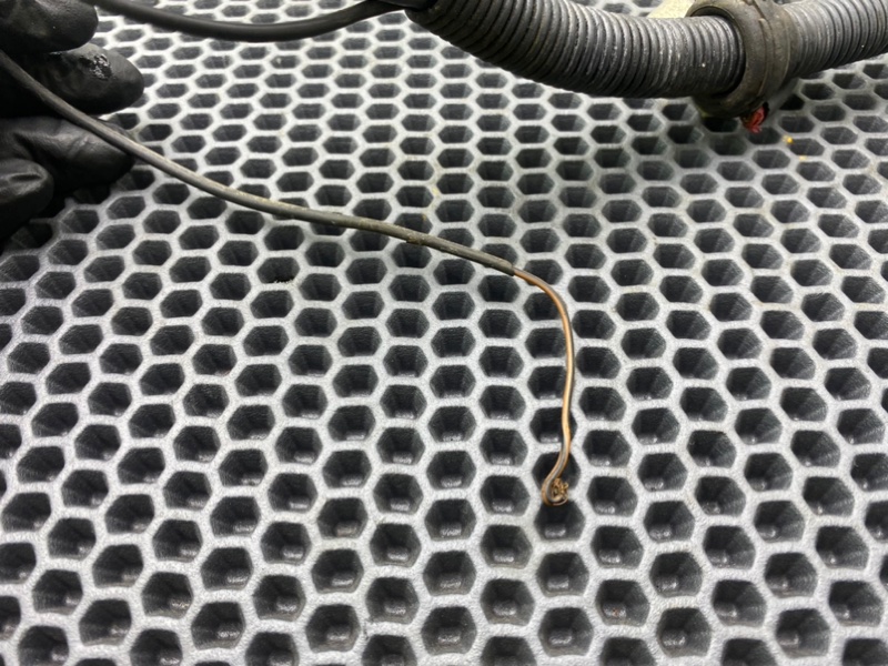 Клемма аккумулятора, 1000 рублей, Калининград