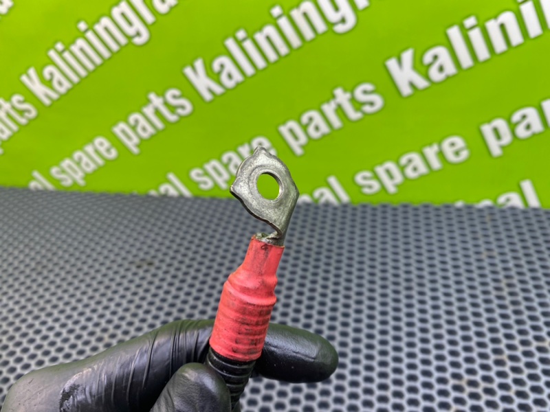 Провод стартера, 1300 рублей, Калининград