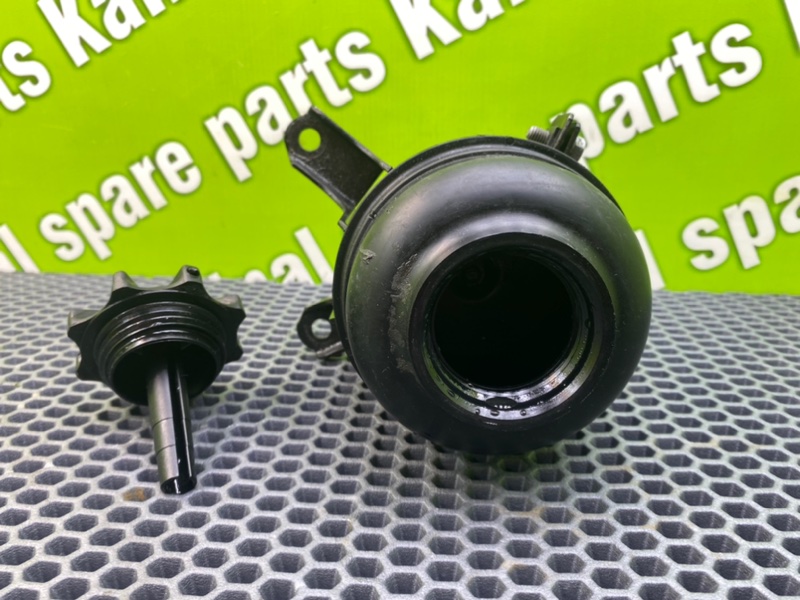 Бачок гур, 1000 рублей, Калининград