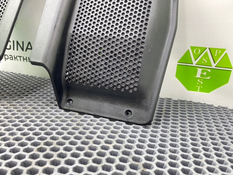 Сетки динамиков, 1000 рублей, Калининград