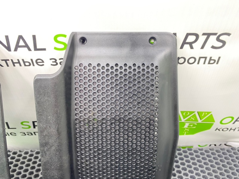 Сетки динамиков, 1000 рублей, Калининград