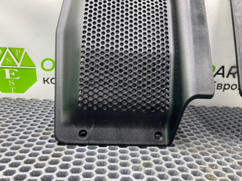 Сетки динамиков, 1000 рублей, Калининград