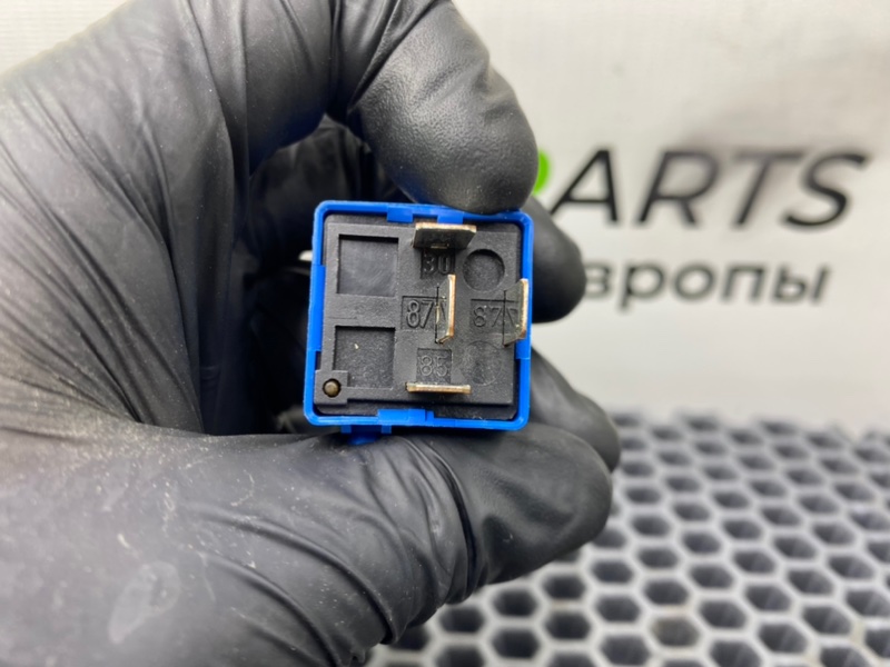 Реле, 500 рублей, Калининград