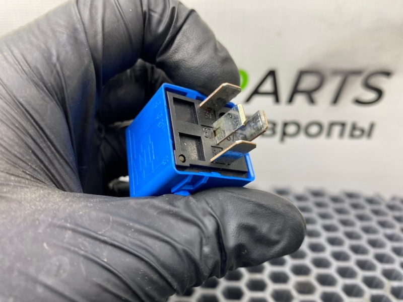 Реле, 500 рублей, Калининград