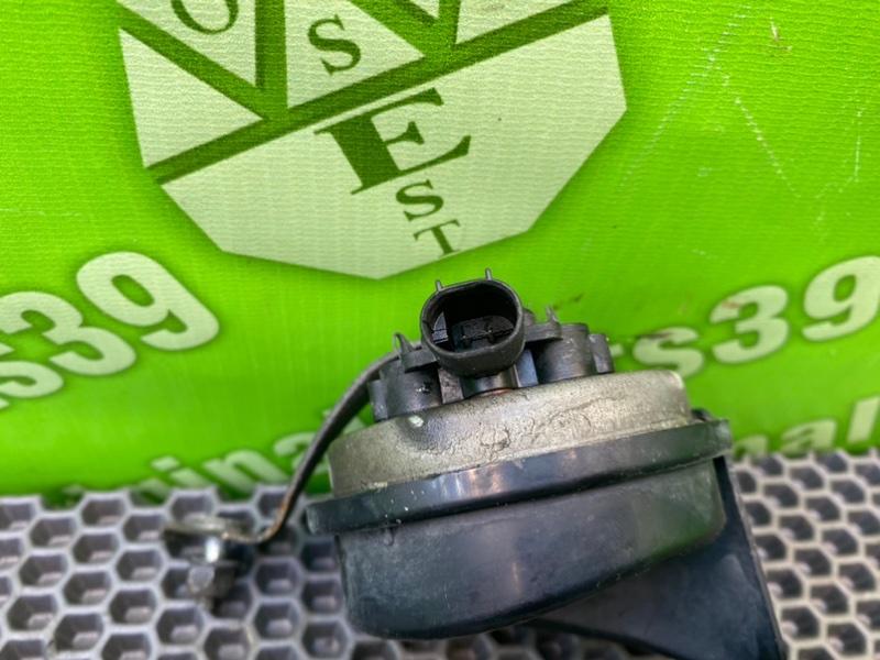 Звуковой сигнал, 1000 рублей, Калининград