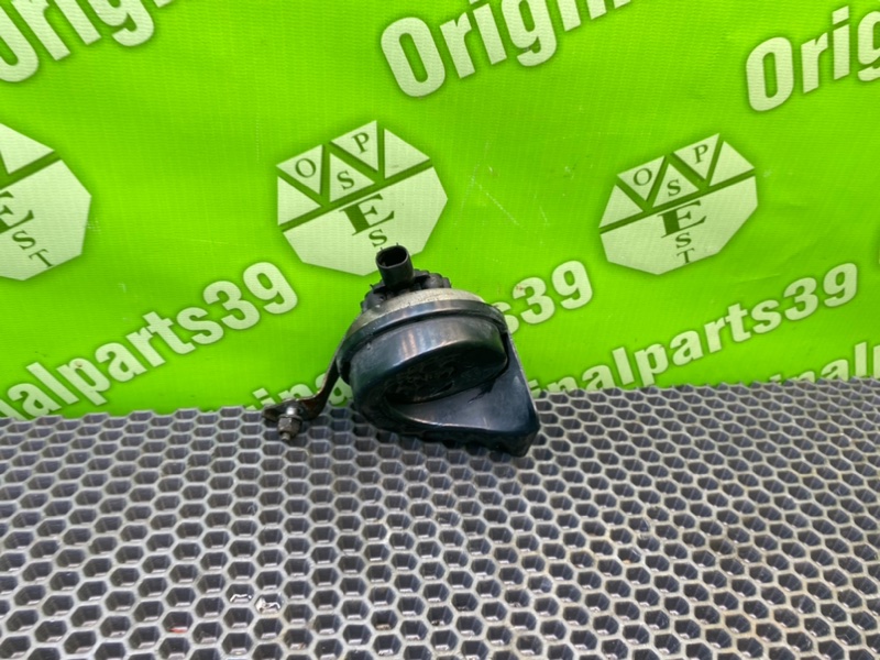 Звуковой сигнал, 1000 рублей, Калининград