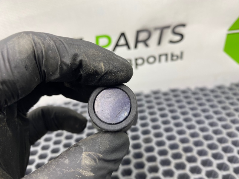 Парктроник, 1600 рублей, Калининград