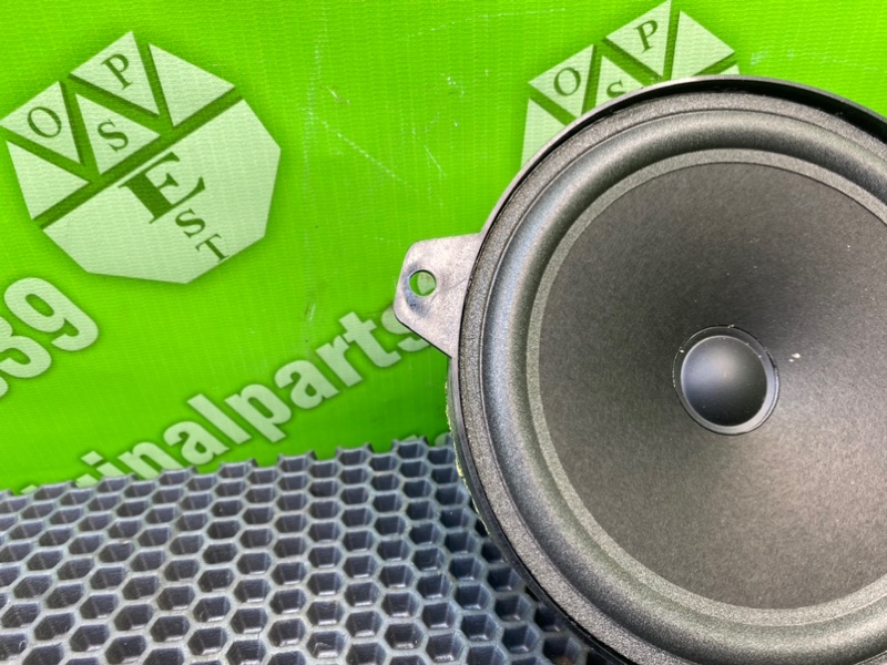 Динамик, 1000 рублей, Калининград