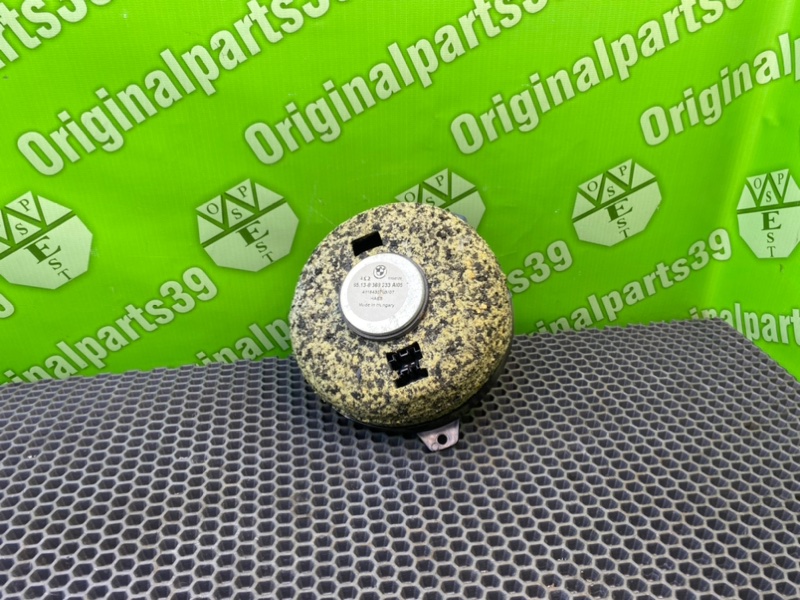 Динамик, 1000 рублей, Калининград