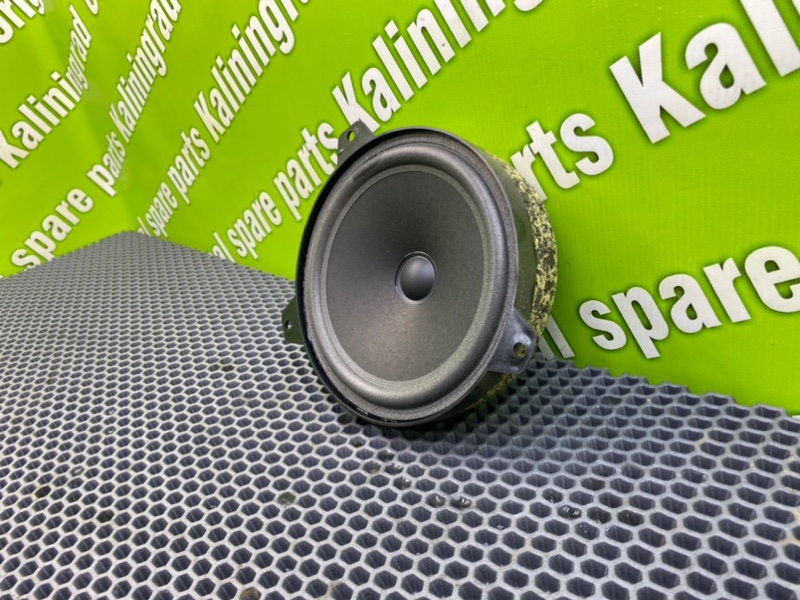 Динамик, 1000 рублей, Калининград