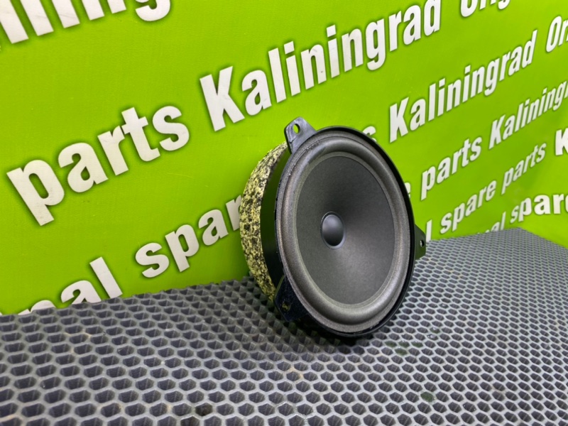 Динамик, 1000 рублей, Калининград