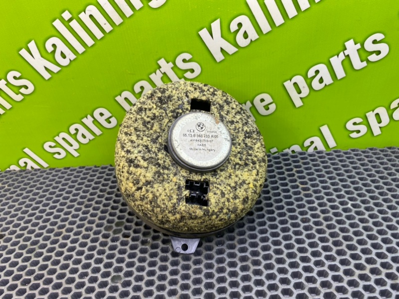 Динамик, 1000 рублей, Калининград