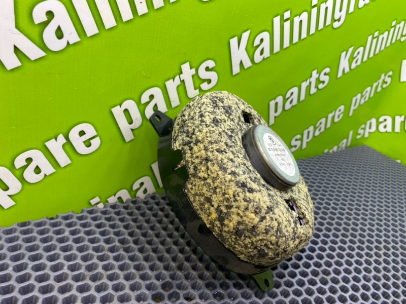 Динамик, 1000 рублей, Калининград