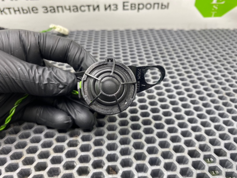 Динамик высокочастотный, 1000 рублей, Калининград