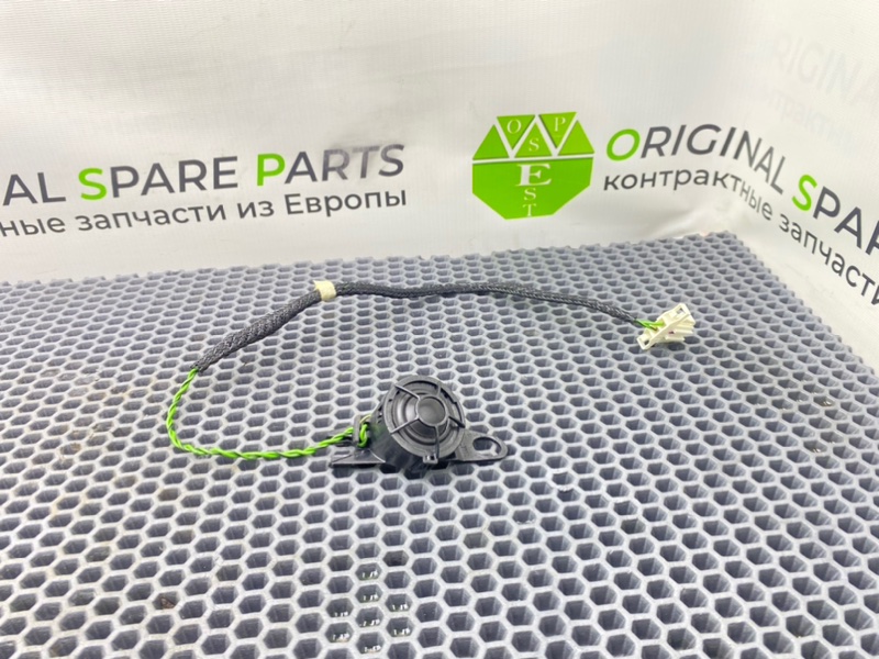 Динамик высокочастотный, 1000 рублей, Калининград