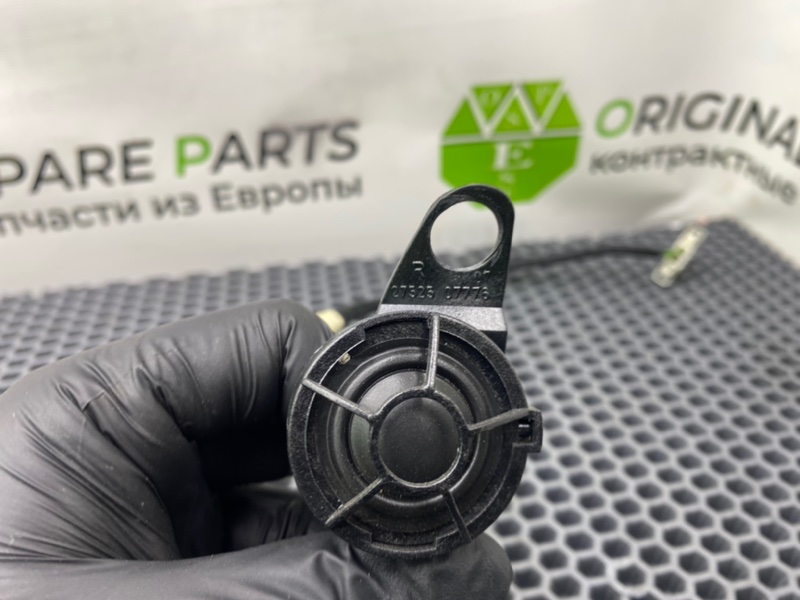 Динамик высокочастотный, 1000 рублей, Калининград