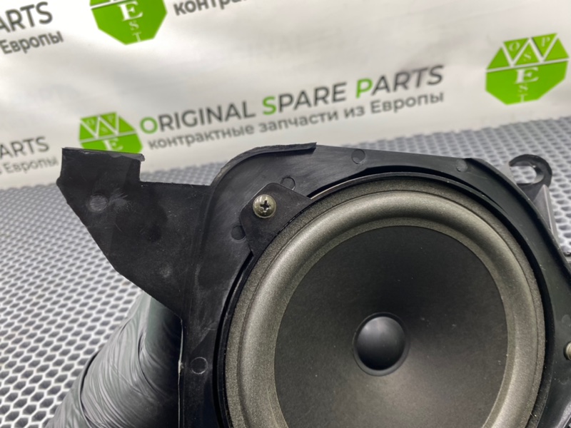 Динамик, 1900 рублей, Калининград