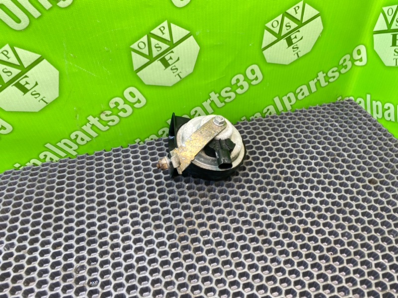 Звуковой сигнал, 1000 рублей, Калининград