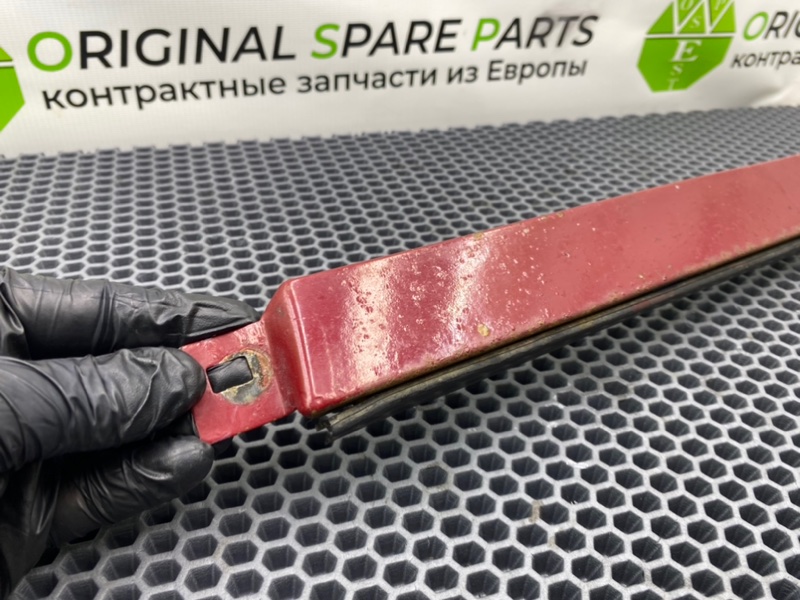 Ресничка, 900 рублей, Калининград