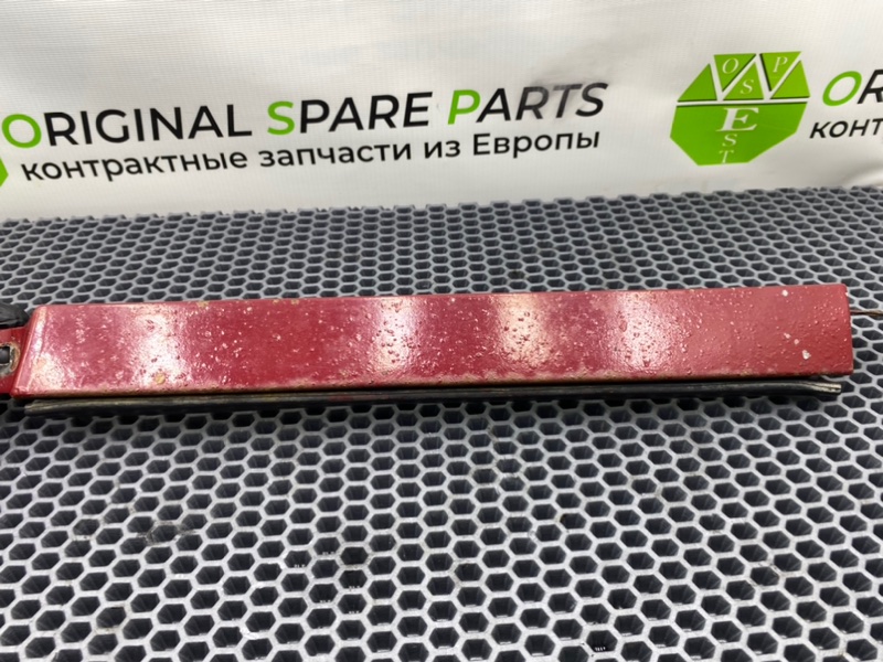 Ресничка, 900 рублей, Калининград