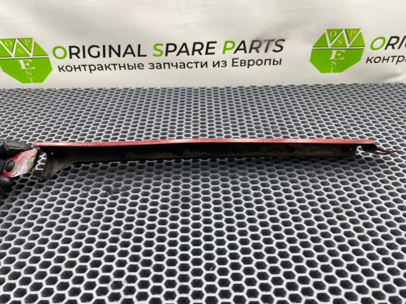 Ресничка, 900 рублей, Калининград