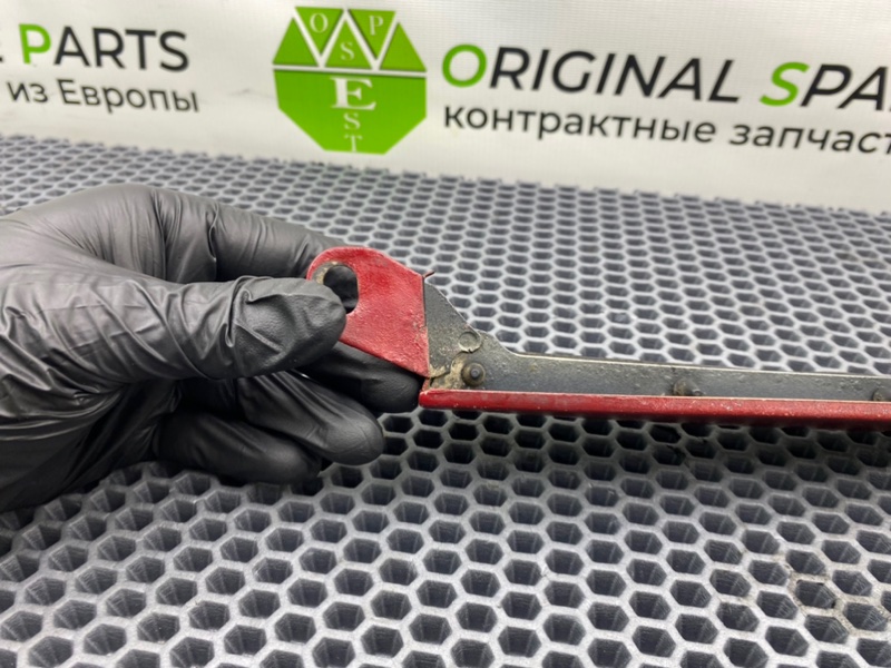 Ресничка, 1000 рублей, Калининград